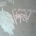 Part of the artwork on the brewery wall at HopDog.